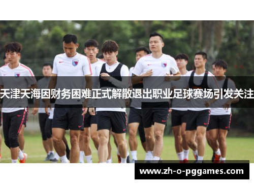 天津天海因财务困难正式解散退出职业足球赛场引发关注 天津天海因财务困难正式解散退出职业足球赛场引发关注